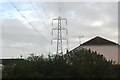 Pylon, Turnford