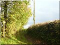 Ridgeway Lane off Croford Hill