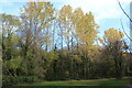 Poplars, Riverside Meadows, Pontnewynydd