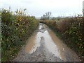 Flooded track to Meadow Farm