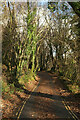 Lane to Buckland Bridge