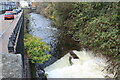 Afon Lwyd by Mill Road, Pontnewynydd