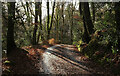 Lane from Buckland Bridge