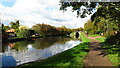 Pound on Chesterfield Canal between Shireoaks Middle & Bottom Locks