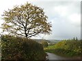 Croford Hill and valley of Hillfarrance Brook