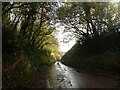 Road cutting near Croford