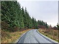 Forest road in Kilmichael Forest