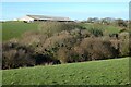 Pasture and woodland, Veryan