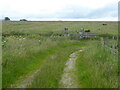 The Pennine Bridleway on Paythorne Moor