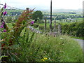 The Pennine Bridleway near Todmanhaw