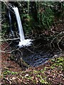 Tourgill Burn - Largs, North Ayrshire