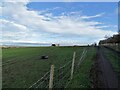 Path over the fields at Medomsley