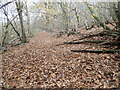 TQ6438 : Path in Little Sandhurst Wood by Marathon