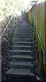 49 steps Steventon New Road