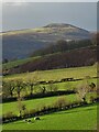 View towards Win Hill from Coggers Lane