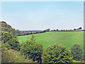 Farmland near the Railway