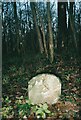 Old Boundary Marker in Bourton Combe