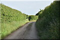 Track north from Bond Hall Farm