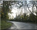 Road to Milverton from Milverton Heath