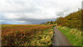 Marsh side path southeast of Little Neston, Wirral