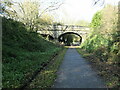 SK3926 : Tree shadow on Trent Lane bridge by Christine Johnstone