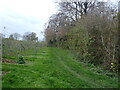 View from the footpath near Hazel Street