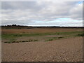 TM4770 : Dingle Marshes, Dunwich by Geographer