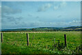 NZ0357 : Healey : Grassy Field by Lewis Clarke