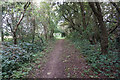 Jillywood Lane towards Poplar Farm