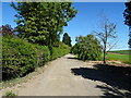 Lane near Cottage Nurseries, Thoresthorpe