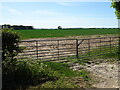 Field entrance off Bluestone Heath Road (A16)