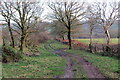 Hen heol i Lansawel / Old road to Llansawel