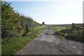 Bridleway towards Scrub Holt Farm