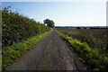 Bridleway towards Scrub Holt Farm