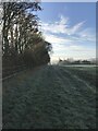 Bridleway alongside Caswell Research Centre