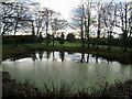 Pond at Grange Farm