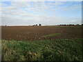 Prepared field near Hawton