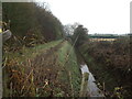 Footpath by the drain