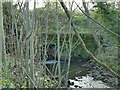 Bridge over Ellar Ghyll