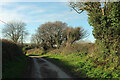 Lane to Alston Farm