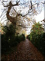 Footpath between Top Street and Low Street, Elston