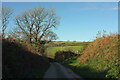 Lane near Molton