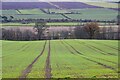 NT5619 : Farmland near Minto by Jim Barton