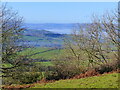 Autumnal view over pastureland, near Cobblers Plain, Monmouthshire