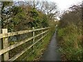 SE1845 : Path alongside the Wharfe of the edge of Otley by Stephen Craven