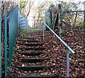 Steps up to a public footpath, Coychurch