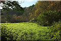 Meadow near Blackpool Farm