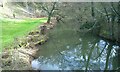 Ledwyche Brook Poughn Hill