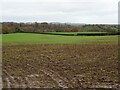 Farmland at Leigh