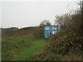 Container among the brambles